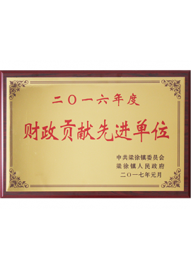 財(cái)政貢獻(xiàn)先進(jìn)單位